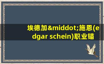 埃德加·施恩(edgar schein)职业锚测试